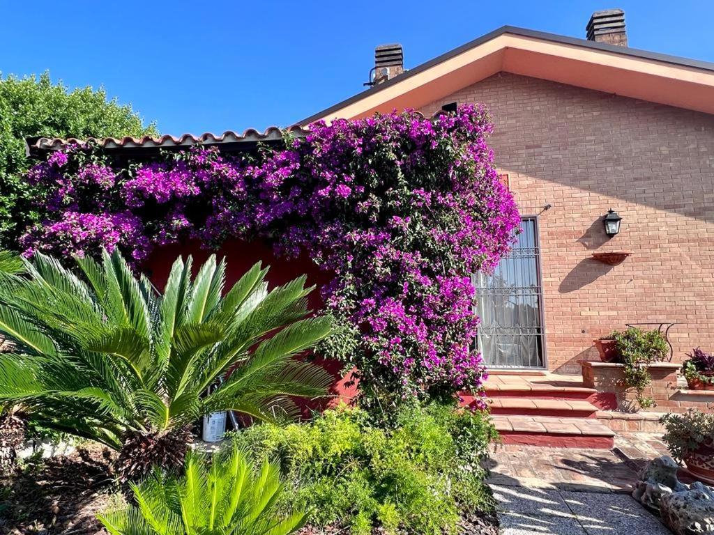 B&B La Casa Di Era Porto San Giorgio Exteriér fotografie